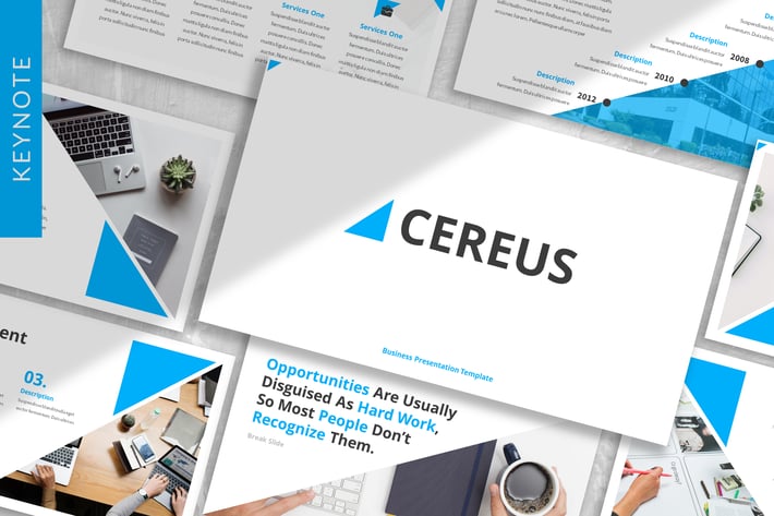 Cereus - Business Keynote Template