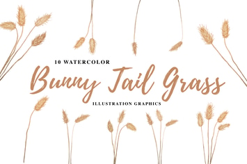 10 Watercolor Bunny Tail Grass Illustration