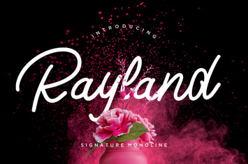 Rayland Signature Business Font