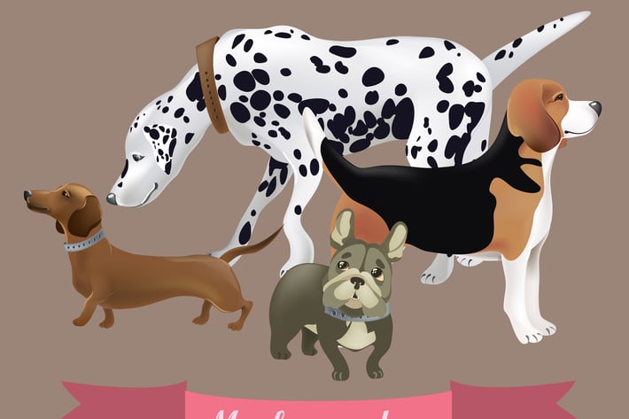 Vector set of funny cartoon dogs. Vector 