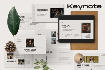 Papiere Goldy Business Plan Keynote