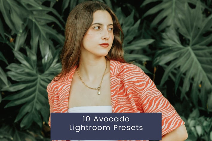 10 Avocado Lightroom Presets