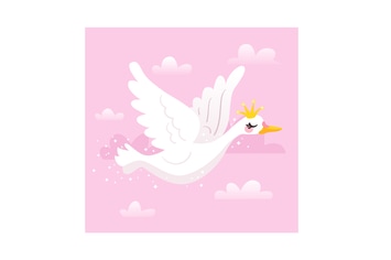 Swan Princess