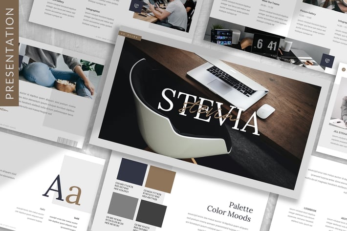 Stevia - Brandbook Prensentation Template