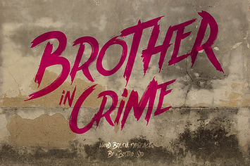 Brother In Crime