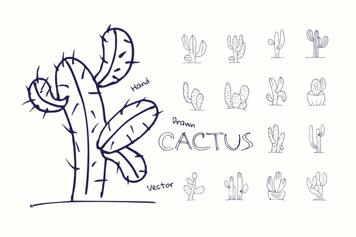 Cactus - Hand Drawn Vector