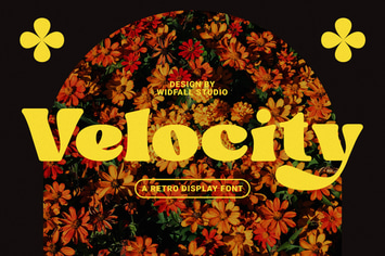 Velocity - Dynamic Retro Display Font