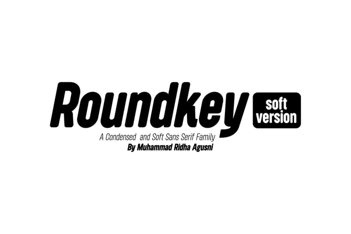 Roundkey Soft Version