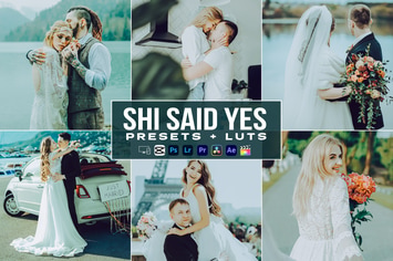 Shi Said Yes Presets - luts Videos Premiere Pro
