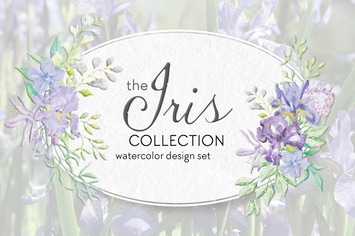 The Iris Collection: Watercolor Clip Art Bundle