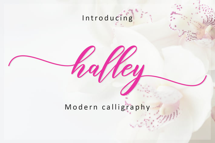 Halley Script