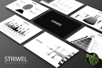 Striwel - Keynote Template