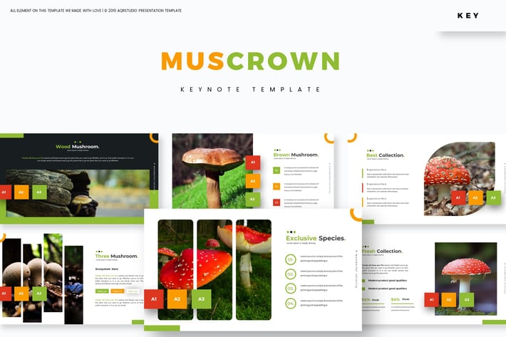Muscron - Keynote Template