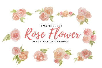 10 Watercolor Rose Flower Illustration Graphics