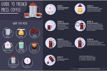 French Press Coffee Infographic