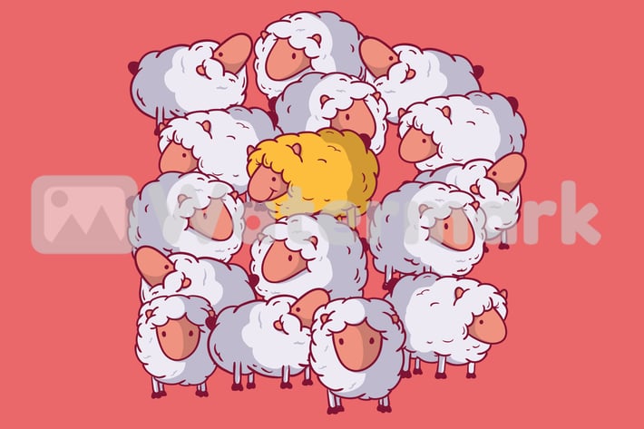 Standing out Sheep