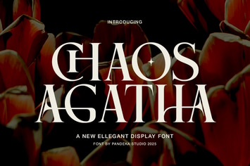 Chaos Agatha - Modern Elegant Ligature Women Font