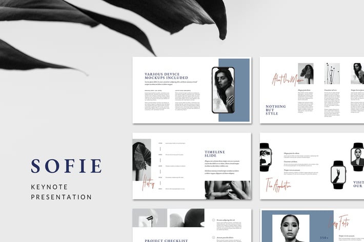Keynote Presentation SOFIE