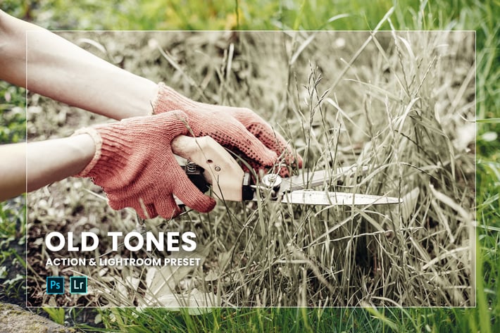 Old Tones Action & Lightroom Preset