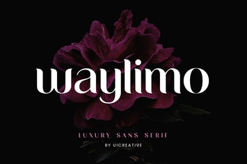 Waylimo Luxury Sans Serif Font