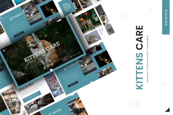 Kittens Care - Keynote Template