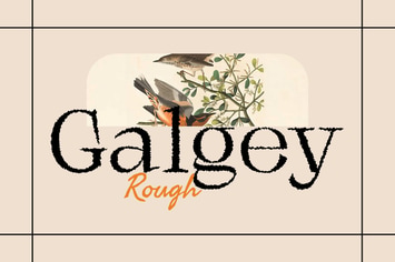 Galgey Rough