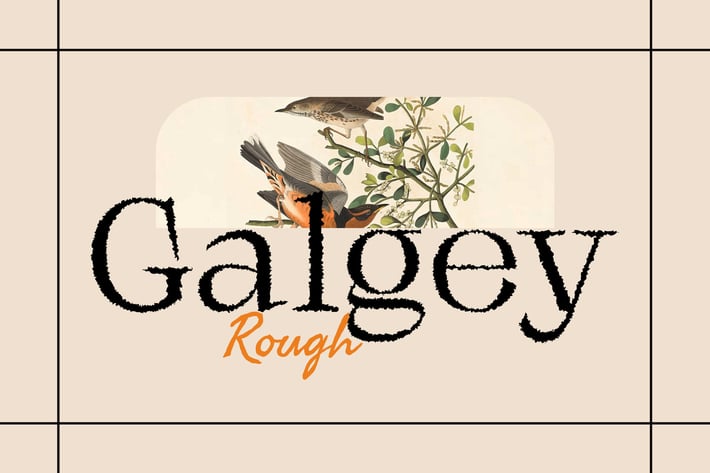Galgey Rough