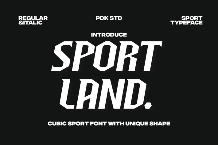 Sportland - Sport Race Font