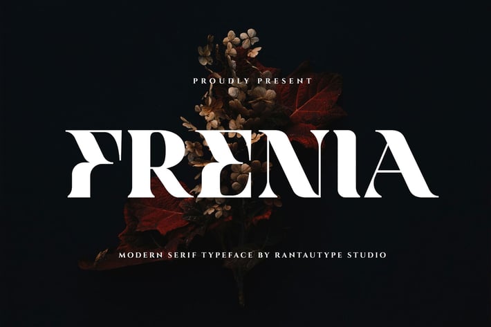 Frenia Modern Serif Typeface