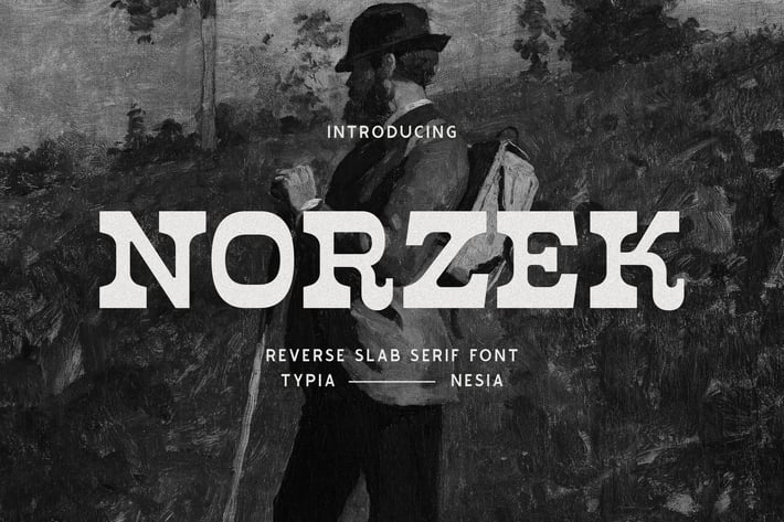 Norzek - Retro Vintage Reverse Slab Serif Font