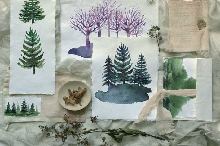 Watercolor pine trees set