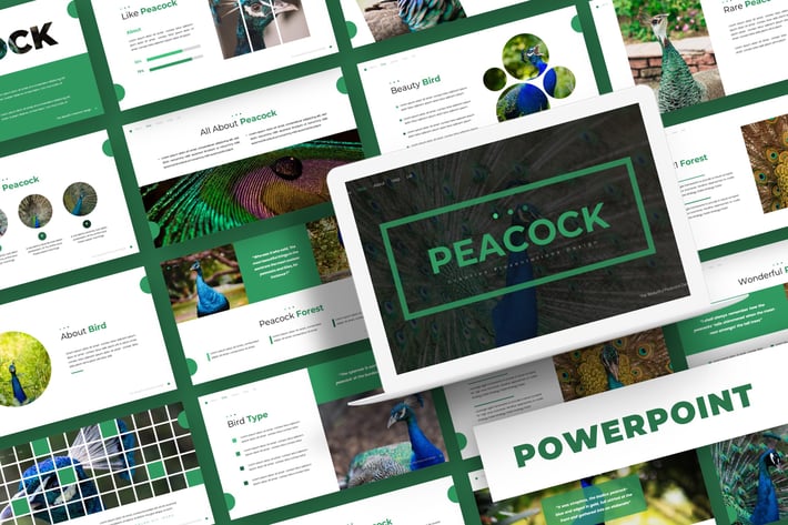 Peacock - Powerpoint Template