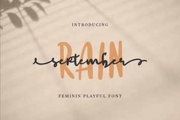 september rain - feminine playful font 