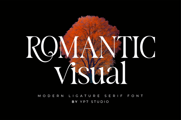 Modern Ligature Serif font