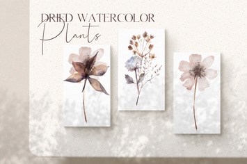 Watercolor dried plants set