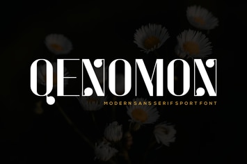 Qenomon Font