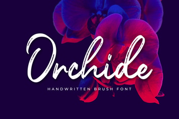 Orchide - Handwritten Brush