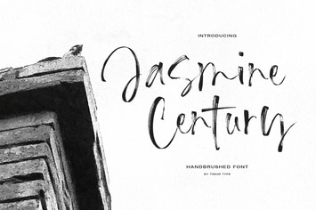 Jasmine Century - Handbrushed Font TT