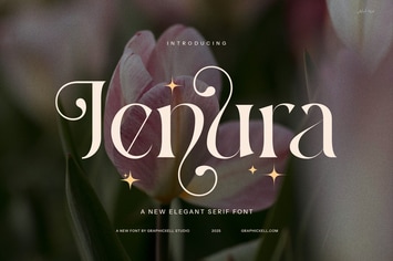 Jenura Stylish Serif Font