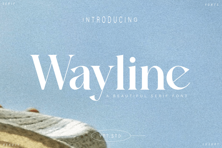 Modern Beautiful Serif Font