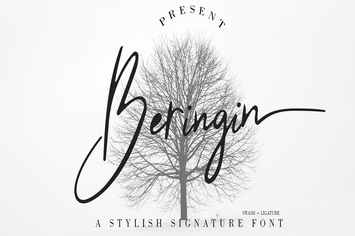 Beringin Stylish Signature Font