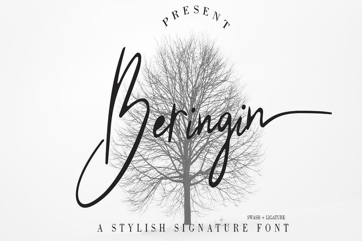 Beringin Stylish Signature Font