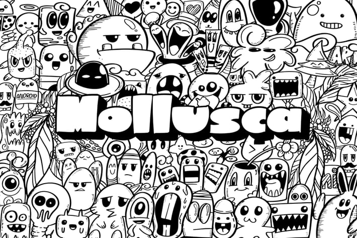 Mollusca Font Trio | Doodle Font