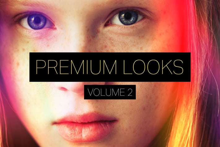 Premium Looks Photoshop Actions (Vol. 2)