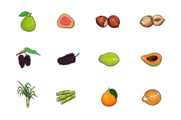 Fruits Illustration V.5