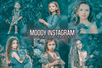 Moody INSTA Presets ( Desktop and Mobilen )