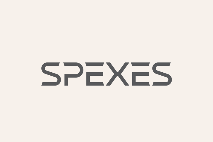 Spexes Modern Display Font