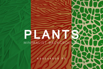 Minimalist Plant Backgrounds