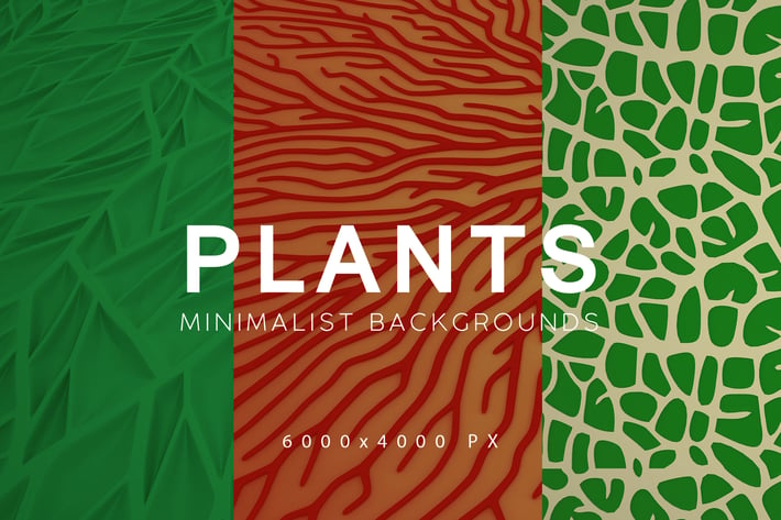 Minimalist Plant Backgrounds