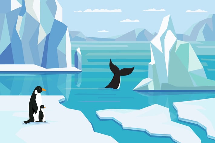 Antarctic - Illustration Background